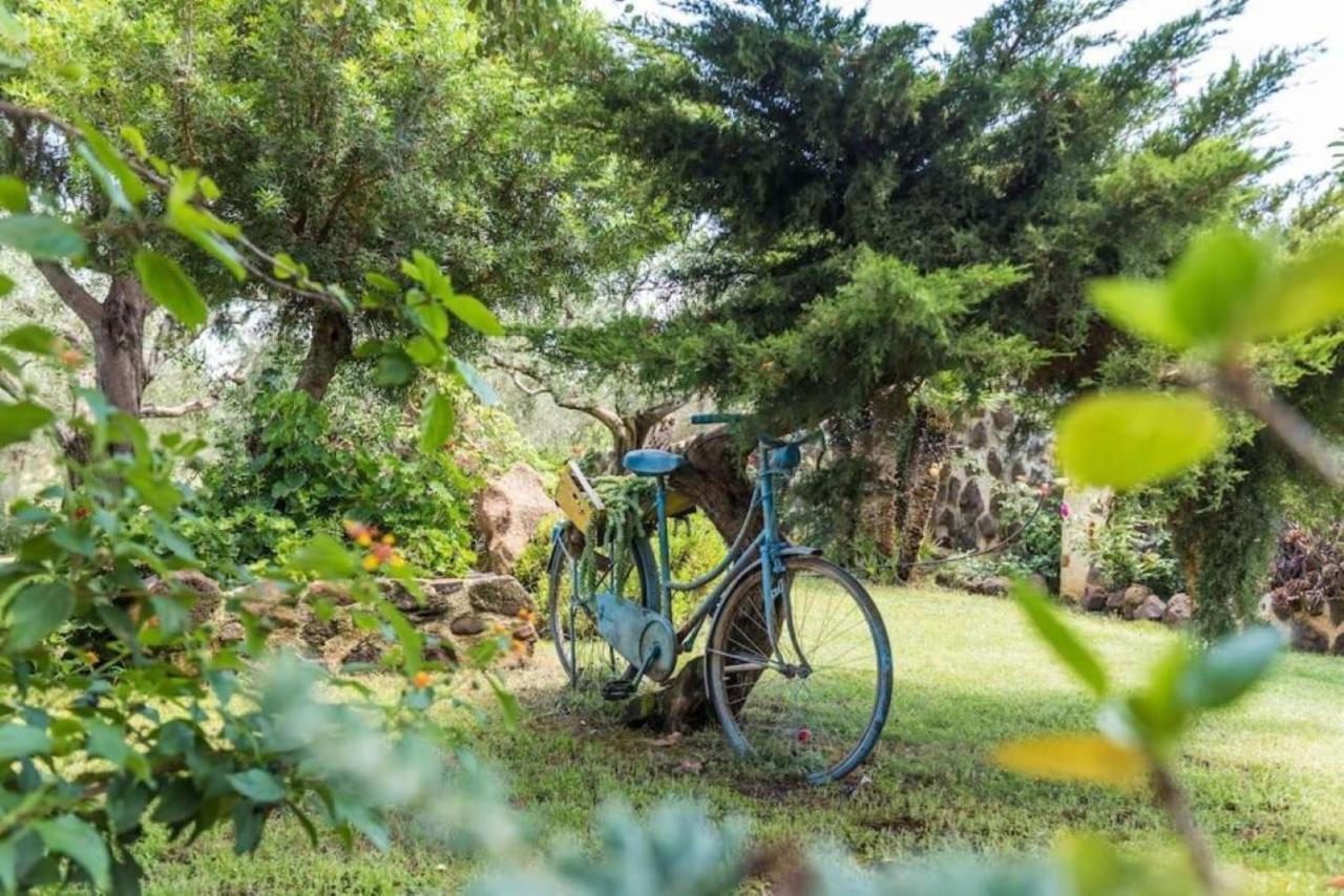 villa con immenso giardino Orosei Esterno foto